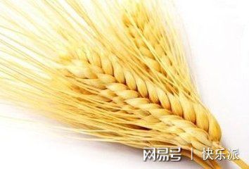 杏彩体育官网西点培训学校麦片燕麦四种人不能吃医生忠告：早上吃燕麦非常好但与1果一