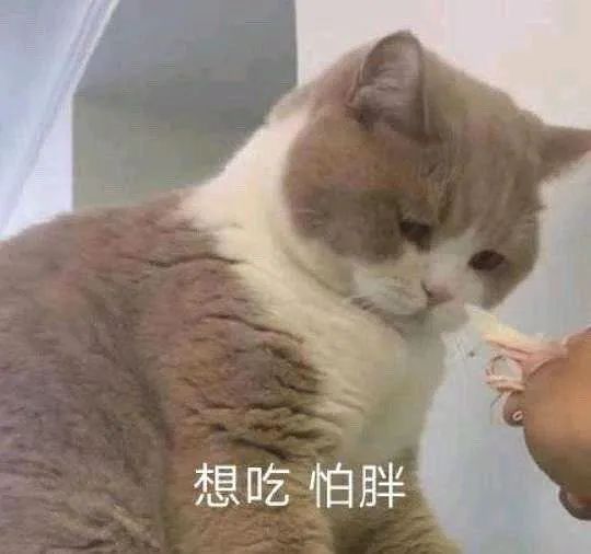 杏彩体育官网燕麦片十大排行榜糕点自制糕点减脂期也能大胆吃适合打工人缓解焦虑的自制