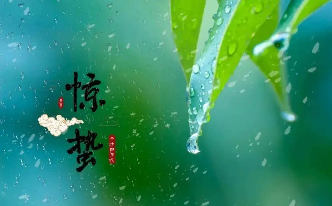 杏彩平台官网麦片干嚼麦片3月5日惊蛰少食燥味多吃4样养肝润燥增免疫平安舒适度春